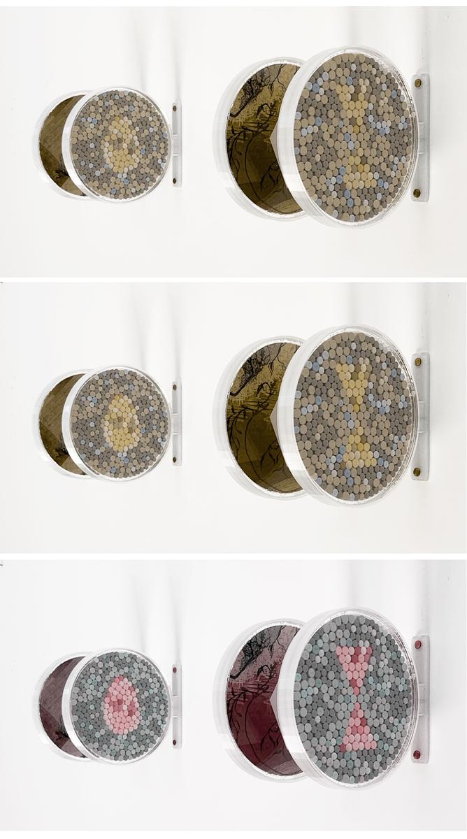 Colorblindness Fields: Simulations