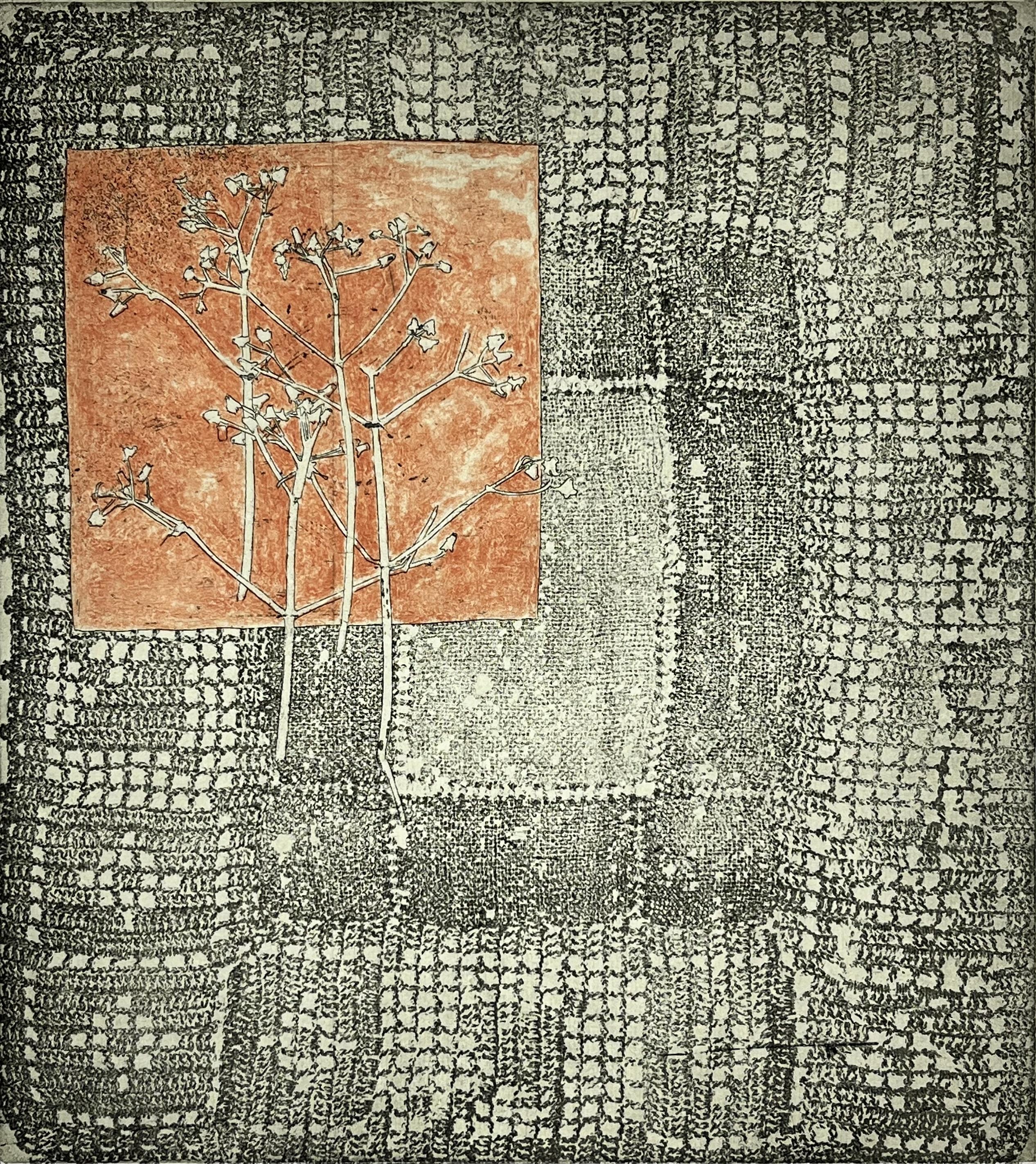 Somebody That I Used to Know