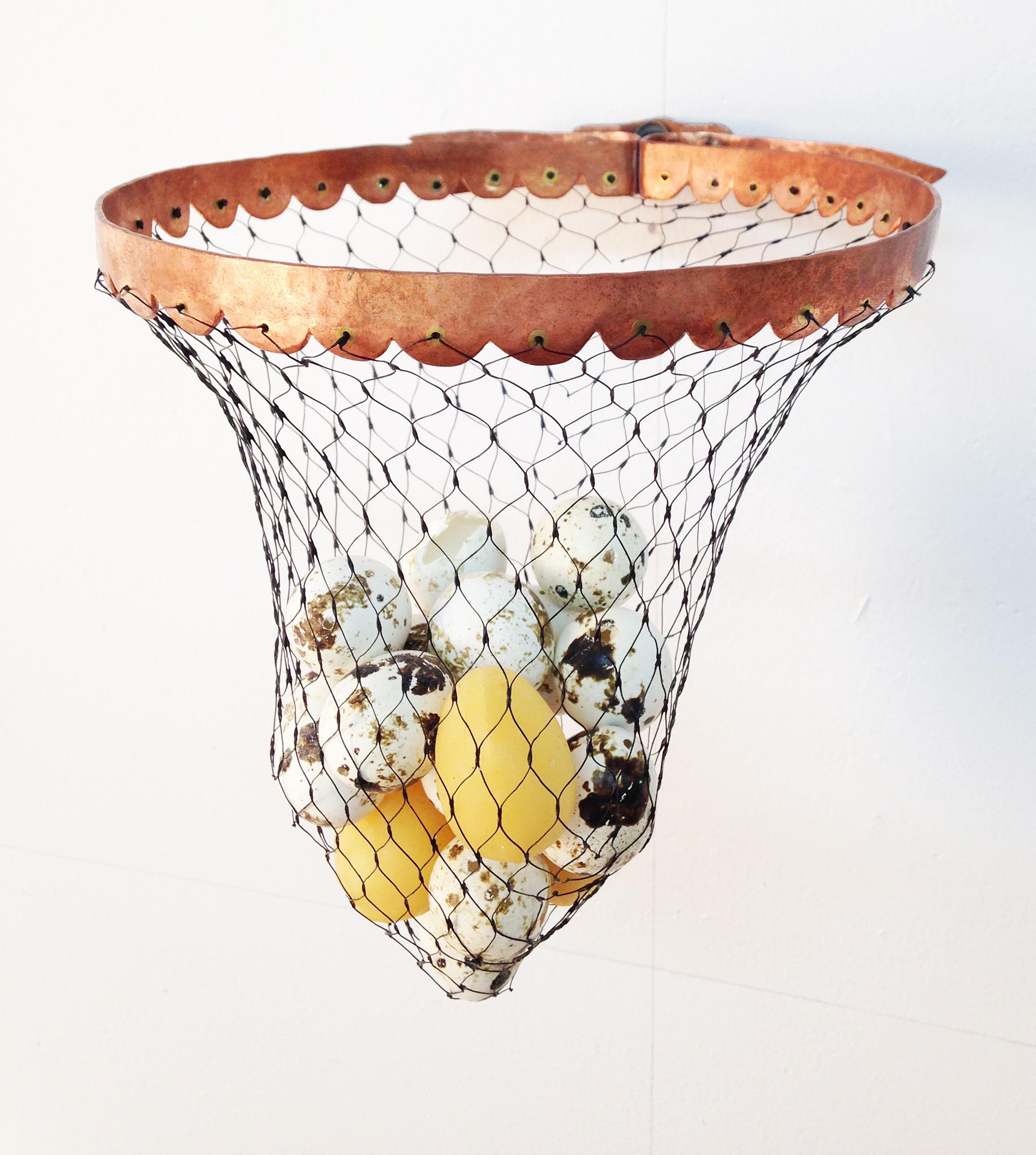 Insect Net