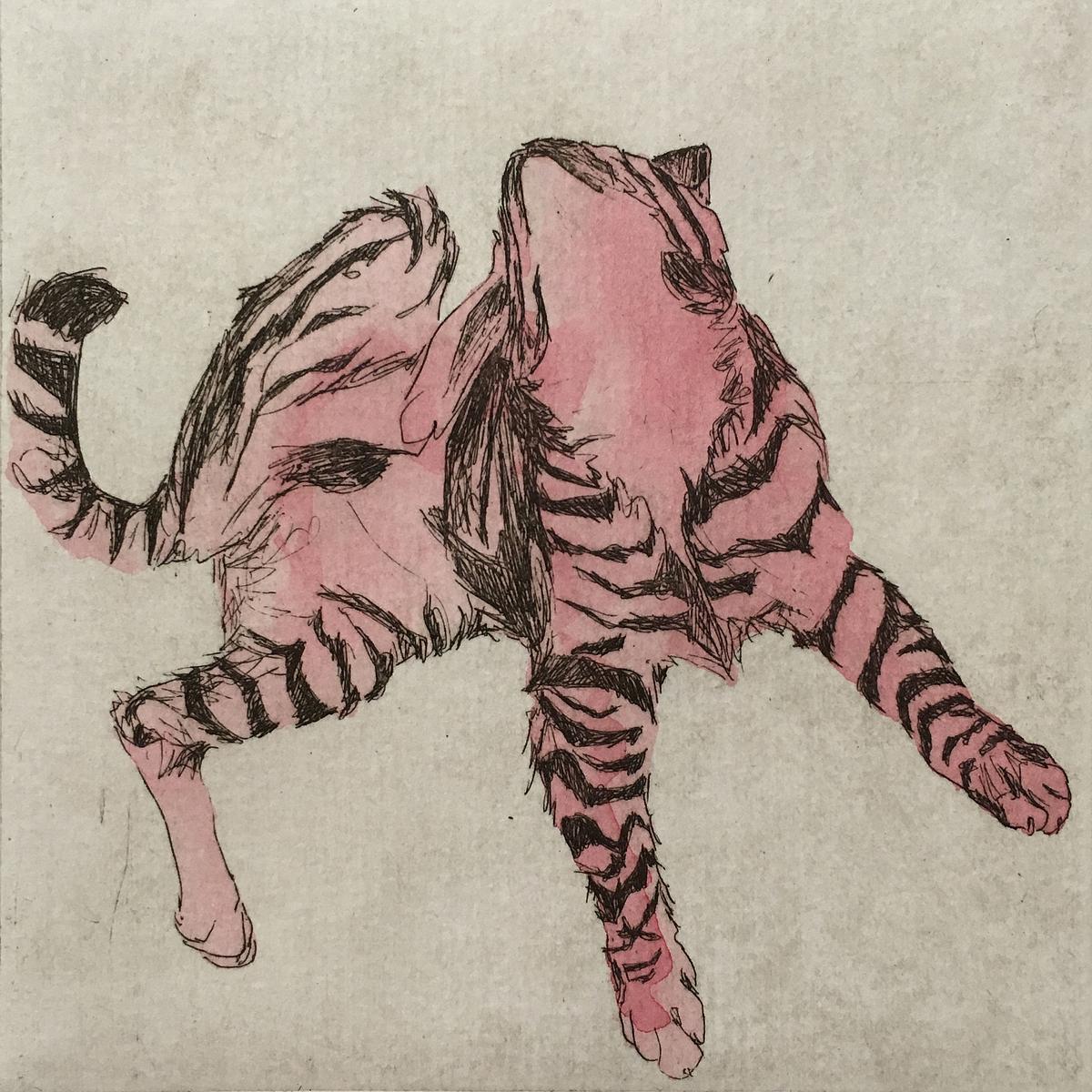 25 Cats Name Sam