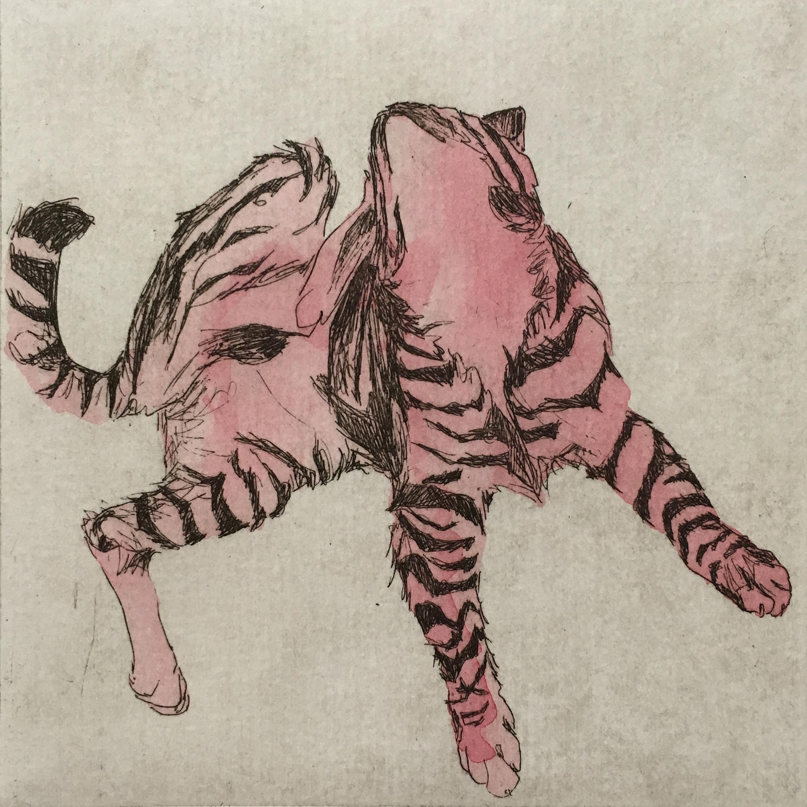 25 Cats Name Sam