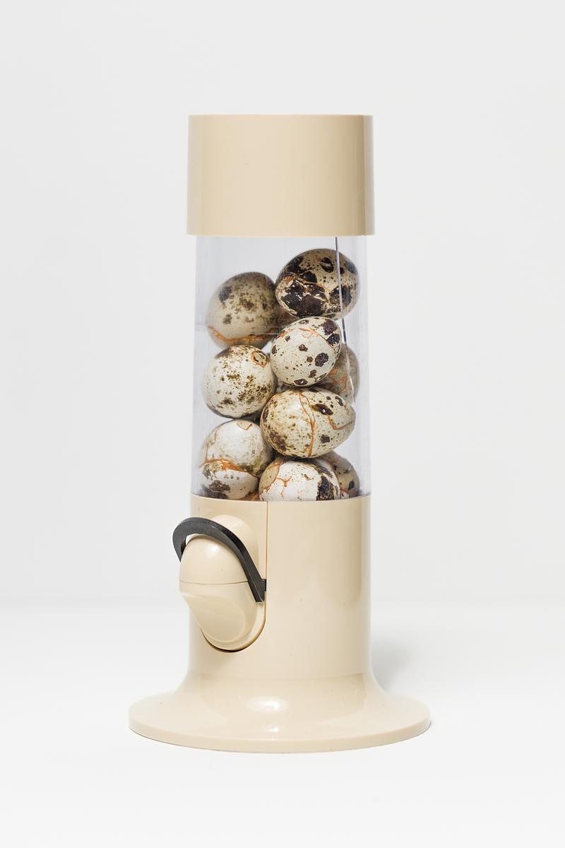 Candy Everybody Wants