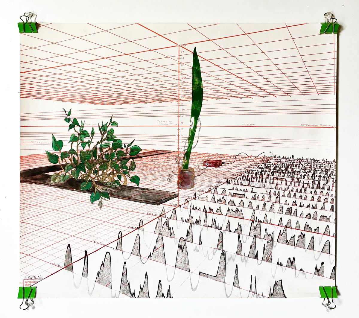 Snake Plant Soundscapes