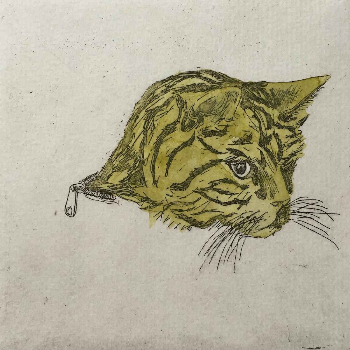 25 Cats Name Sam