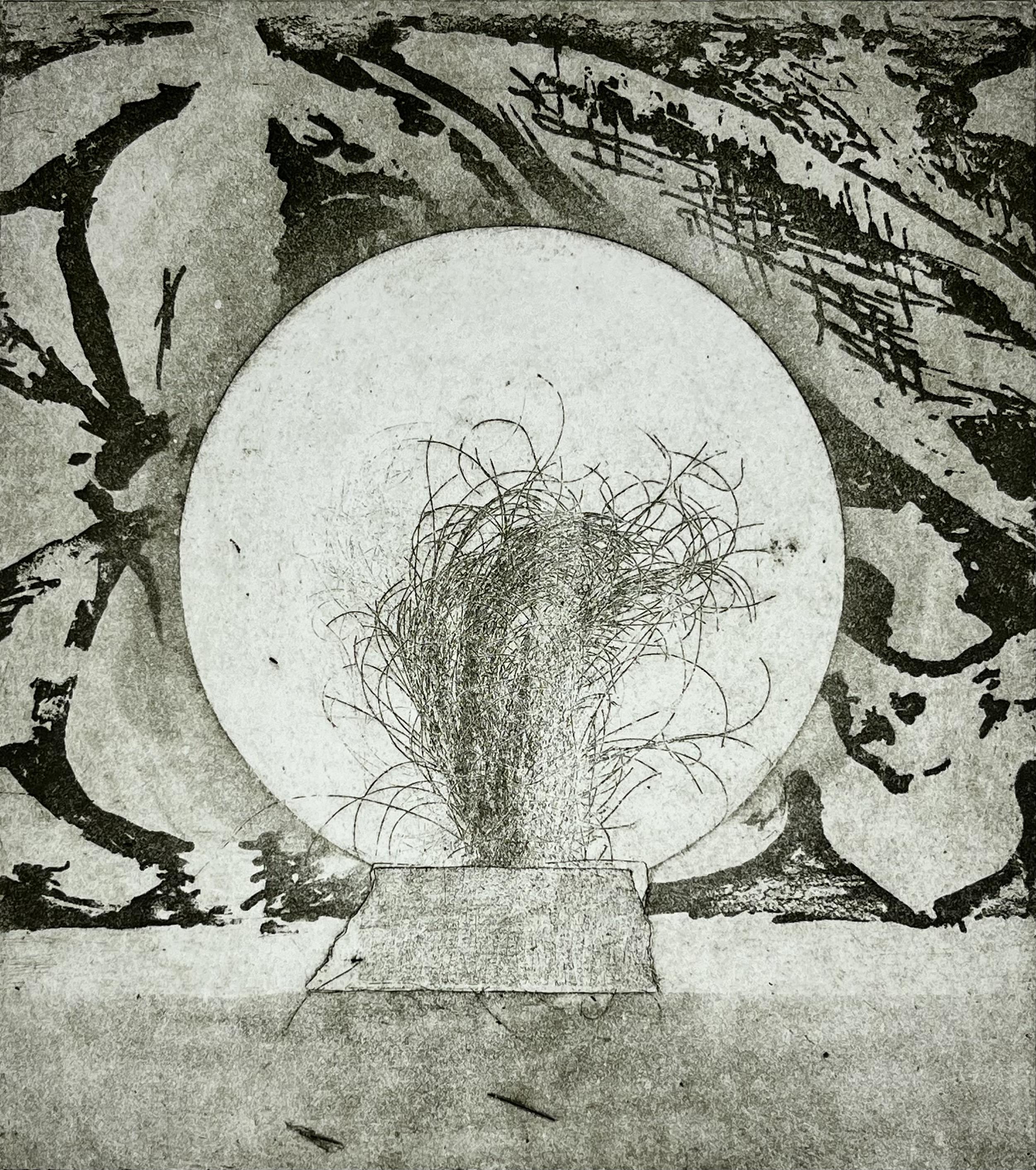 Ill Be Your Mirror