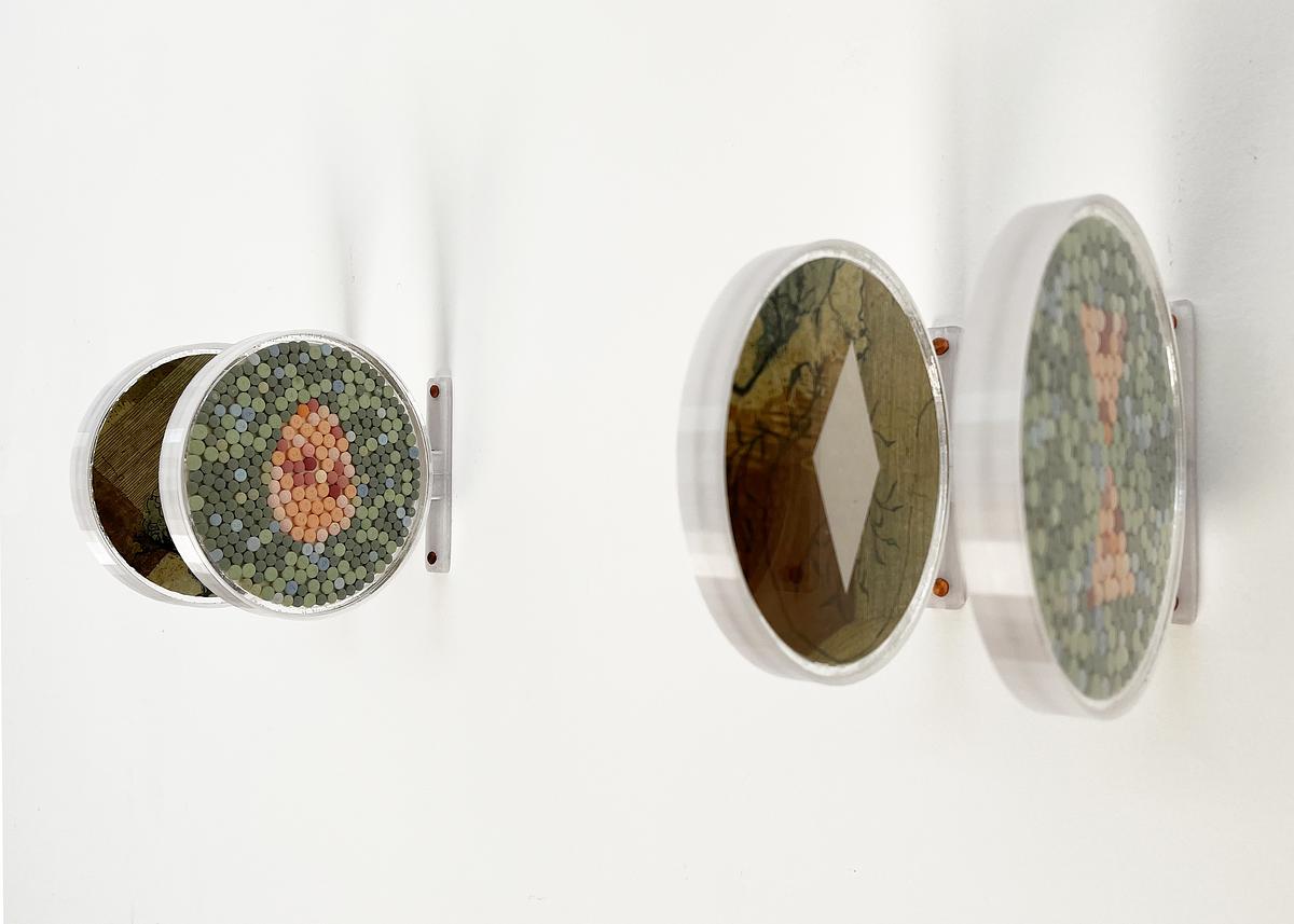 Colorblindness Fields