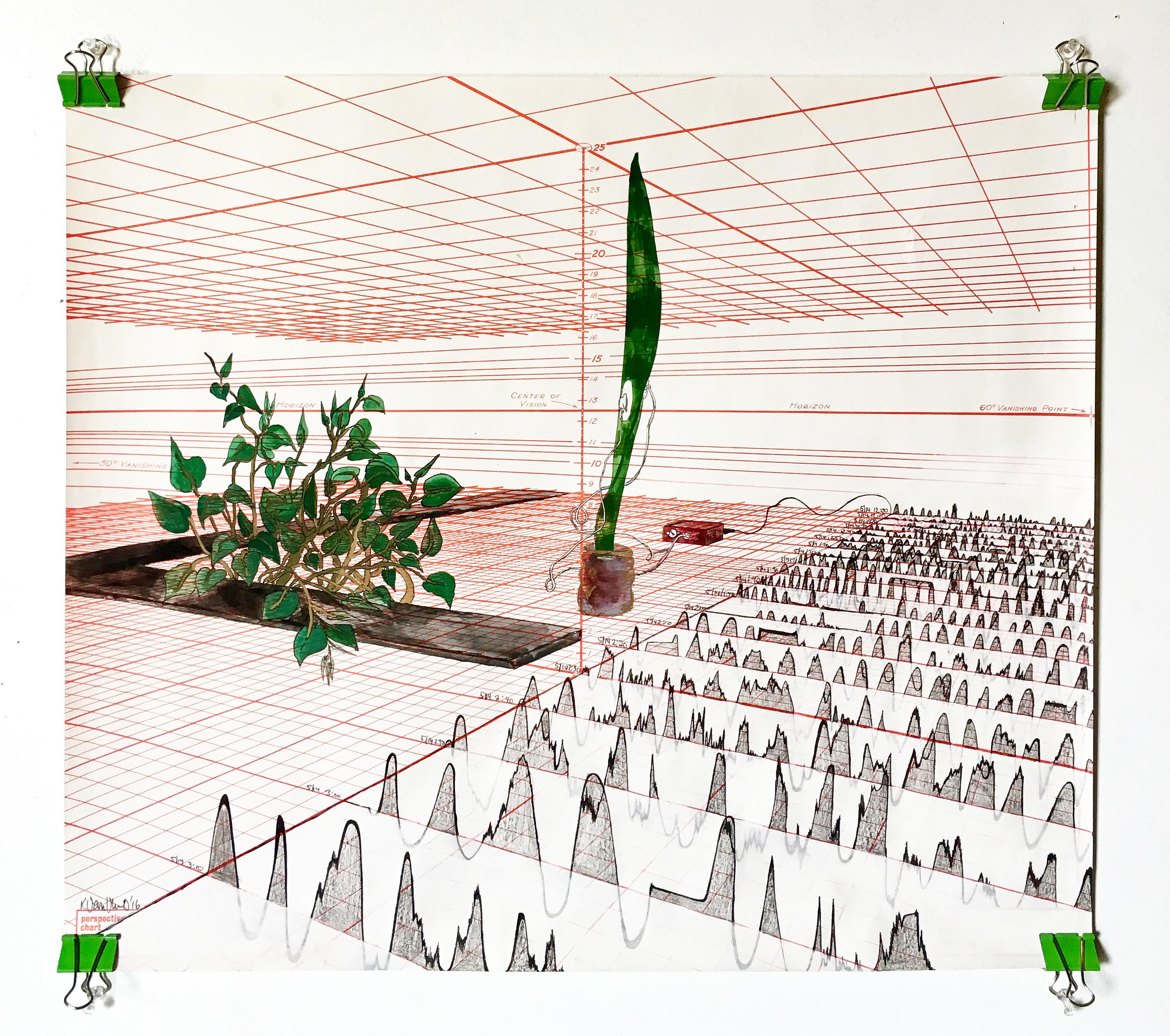 Snake Plant Soundscapes