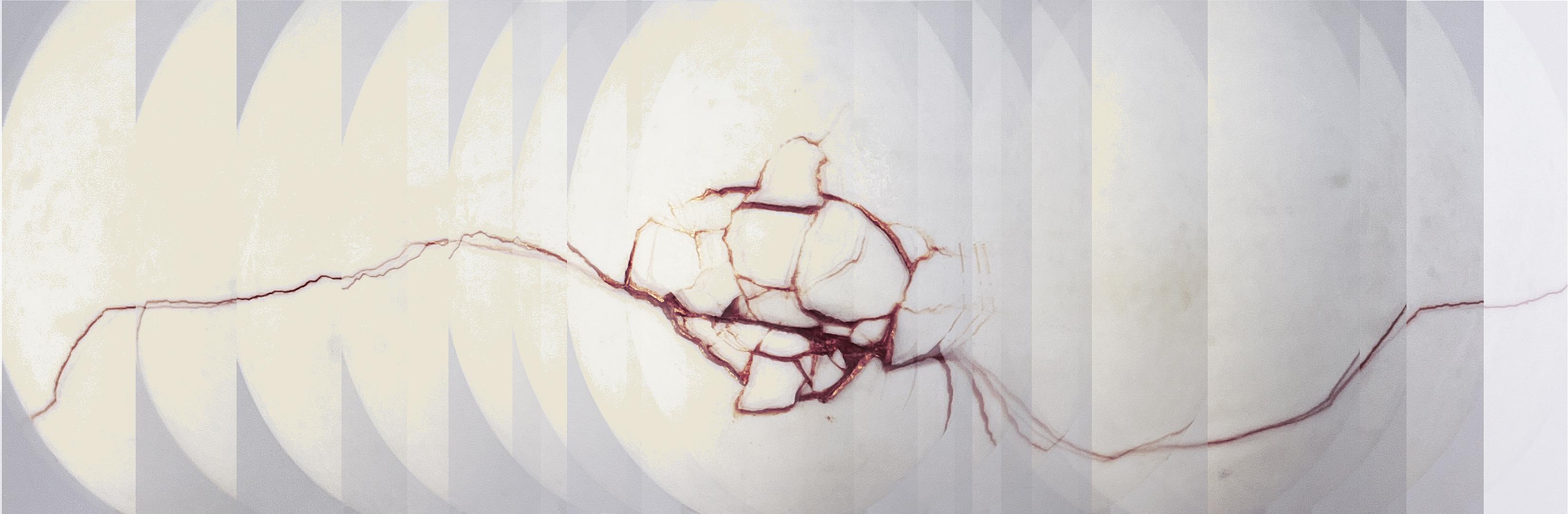 Fault Lines - Duck