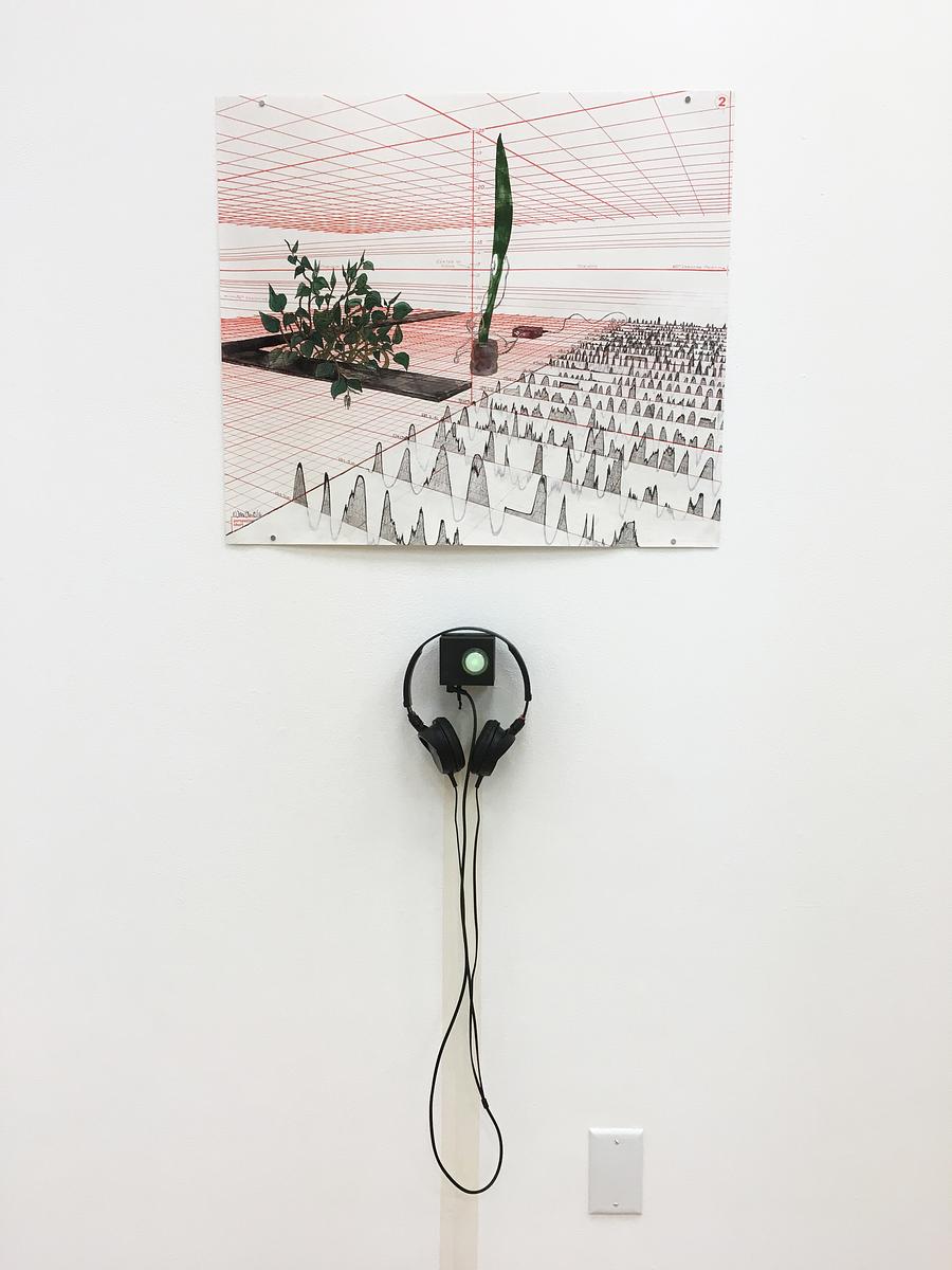 Schuylkill Weeds Listening Station