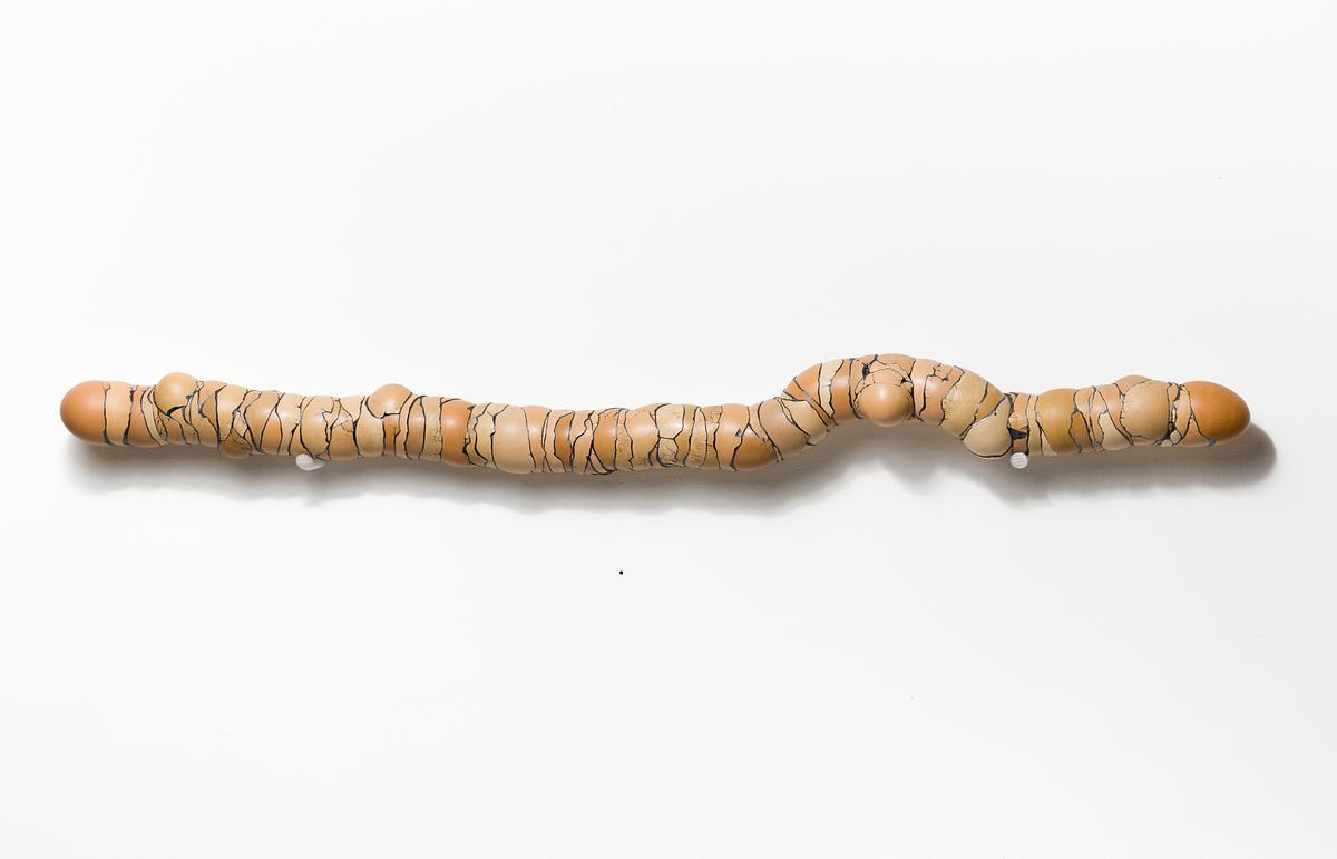 Walking Stick