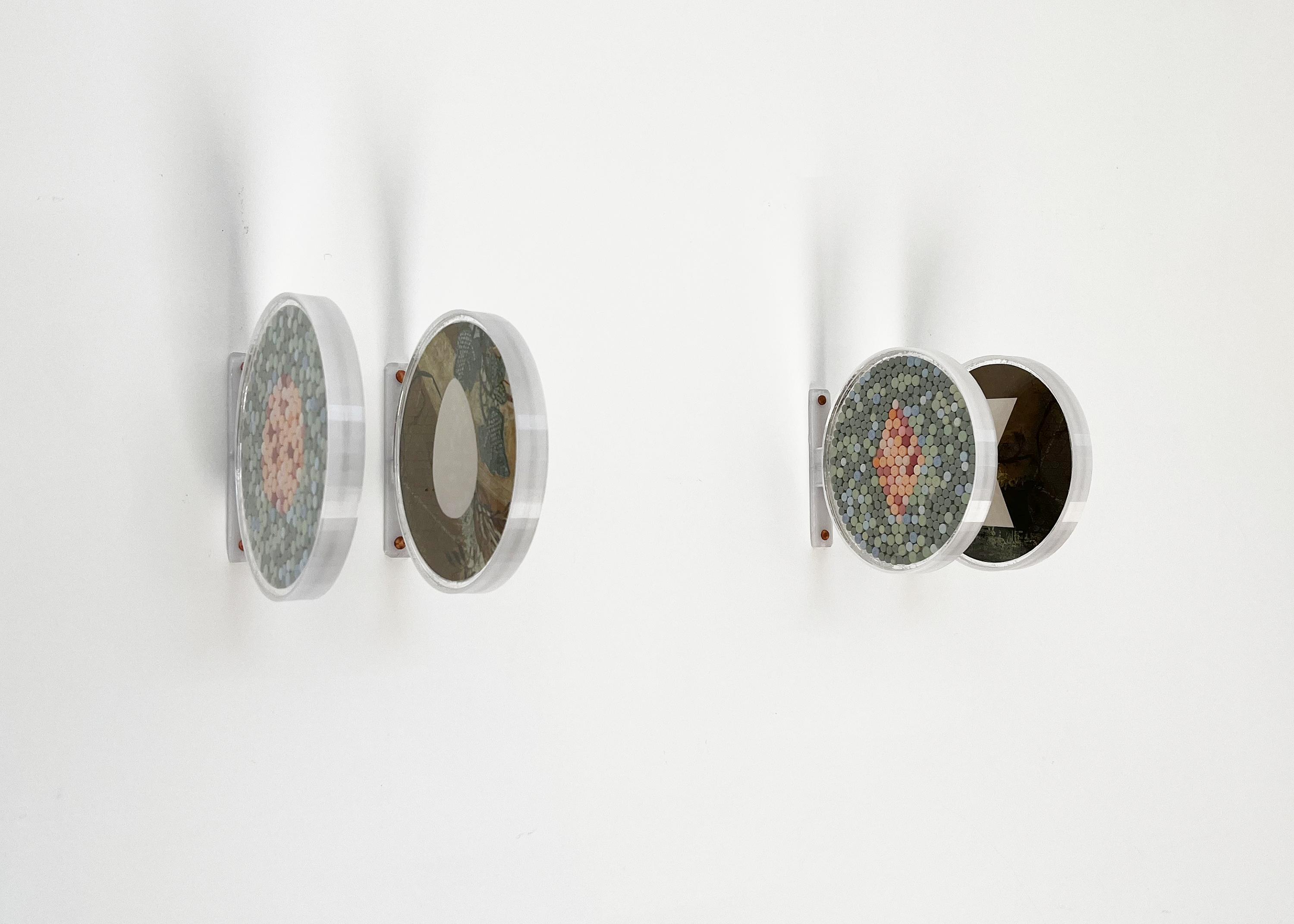 Colorblindness Fields