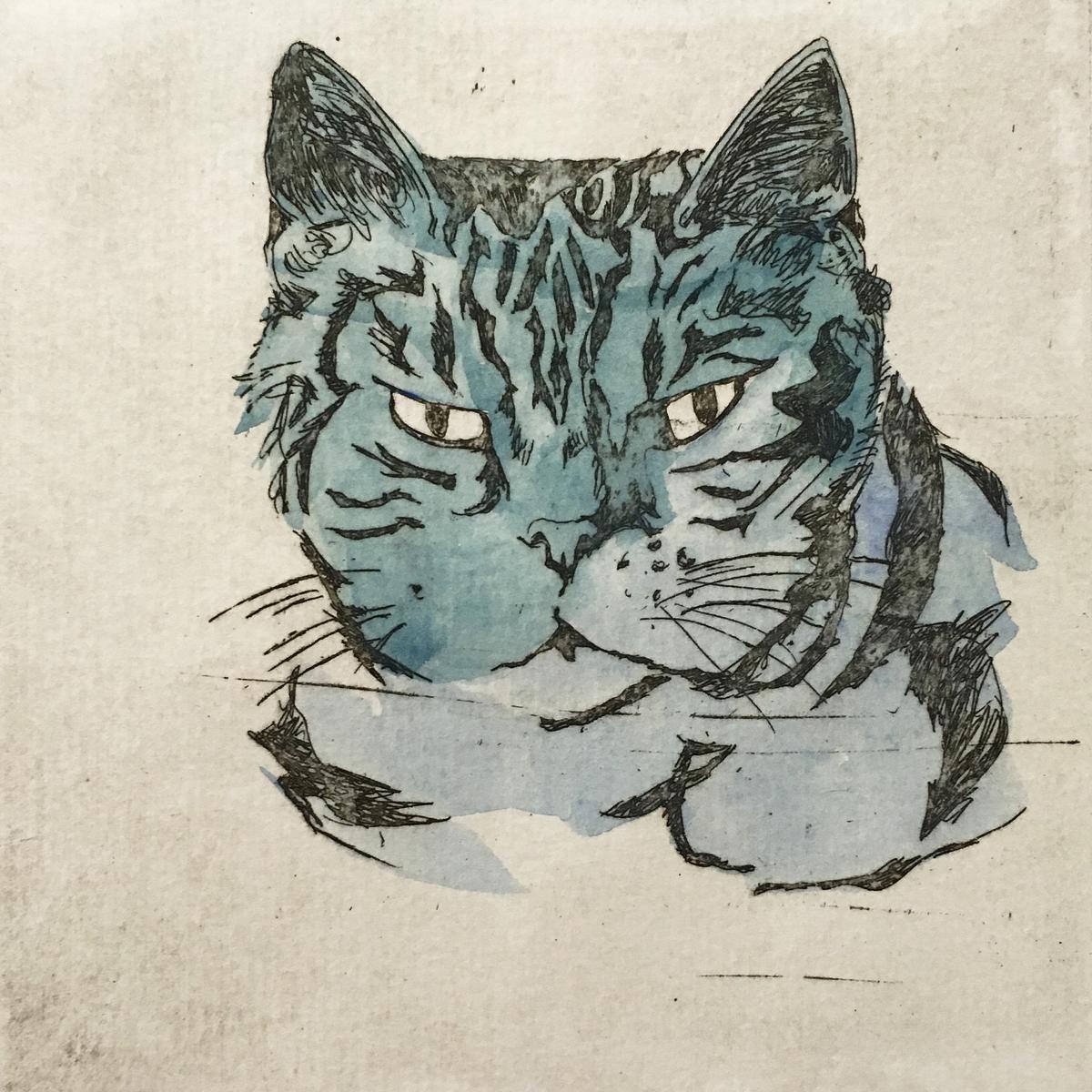 25 Cats Name Sam