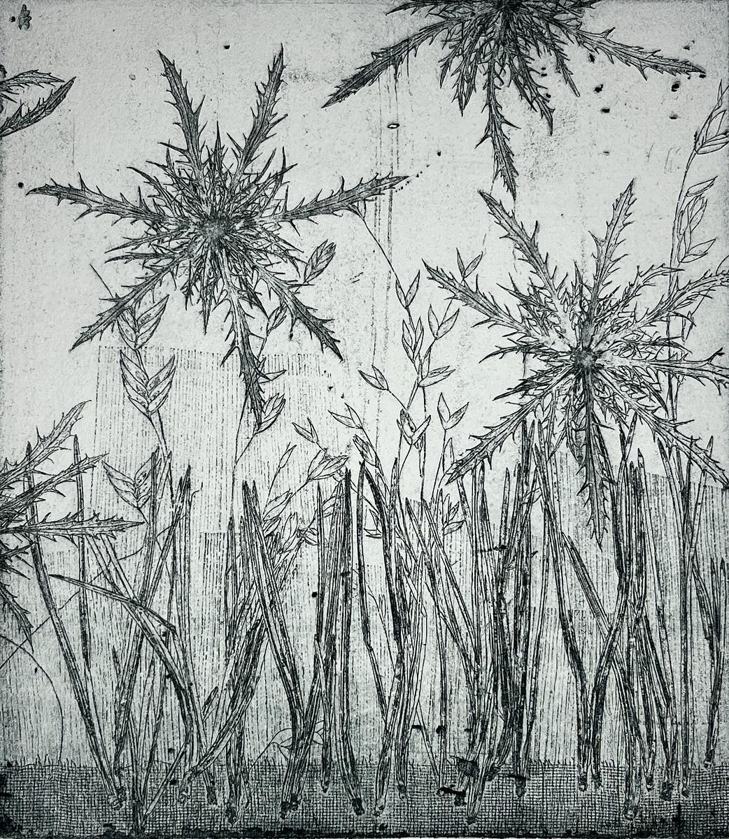 The Hissing of Summer Lawns