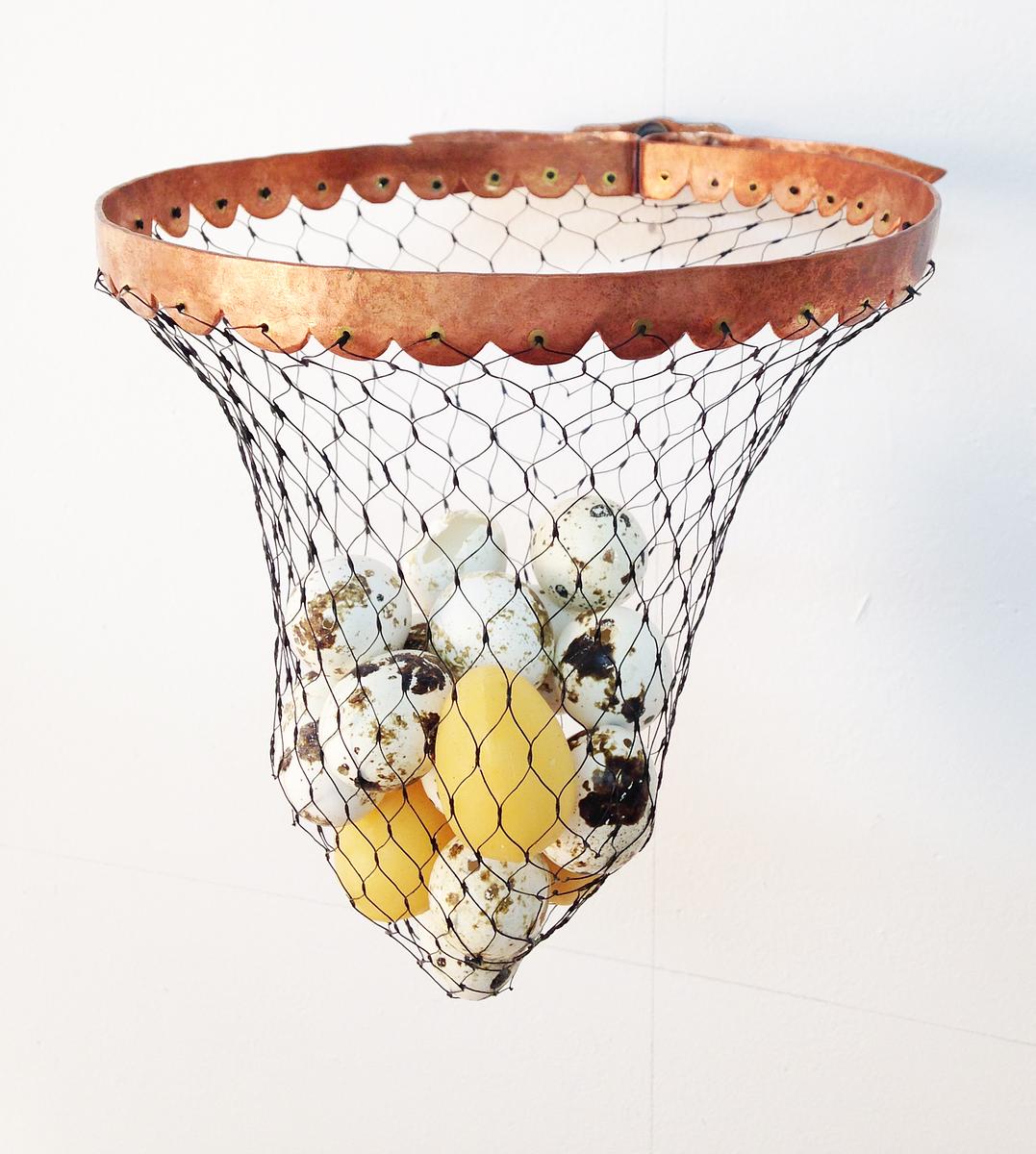 Insect Net
