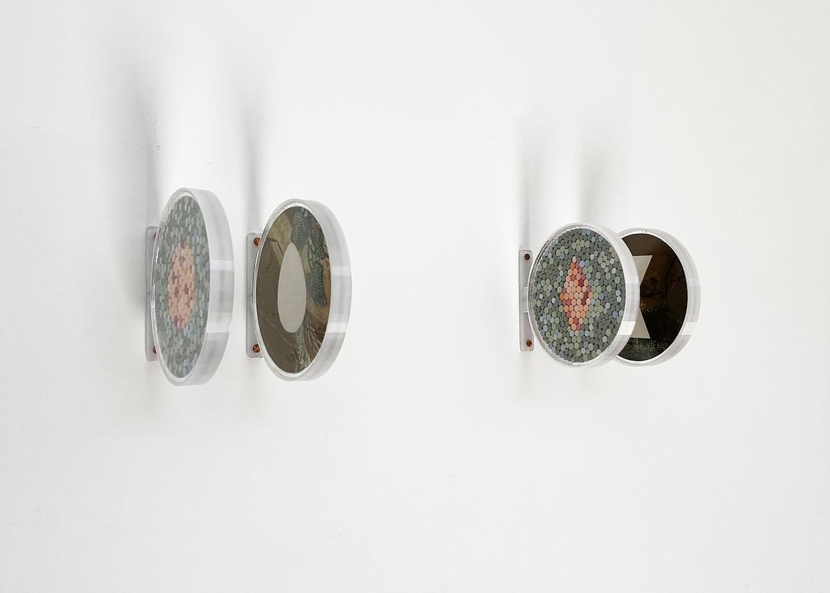 Colorblindness Fields