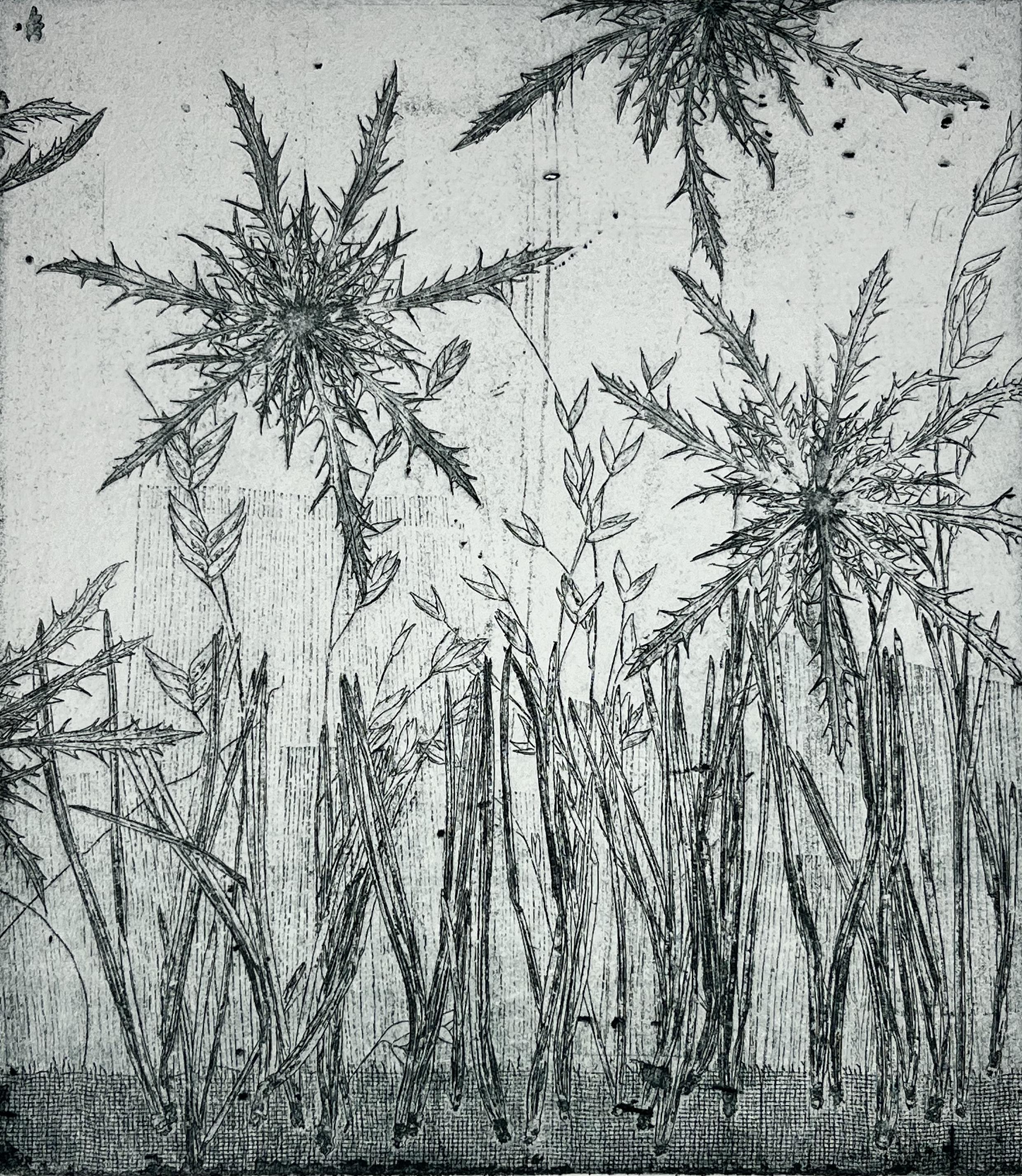 The Hissing of Summer Lawns